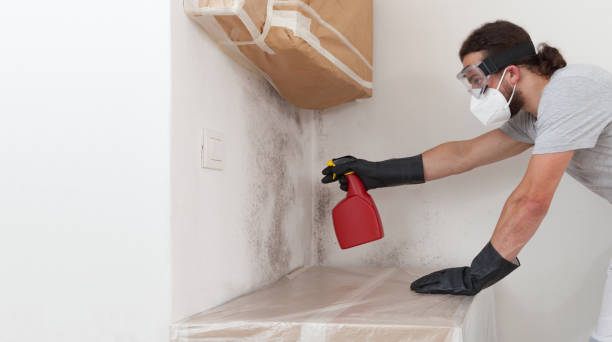 Professional Mold Removal technician working in Falcon, NC