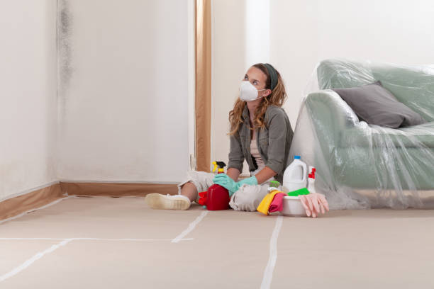 Trusted Basement Mold Remediation service in Falcon, NC - Cheap Mold Removal